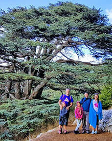 Private Tour to The Cedars Forest